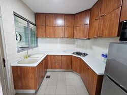 The Oxley (D9), Apartment #507767641